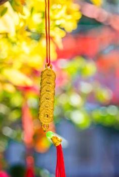 Cổng giải trí trực tuyến 
